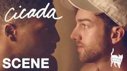 CICADA - When Did You Know?