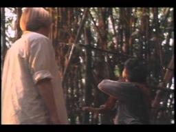 Lady Dragon Trailer 1992