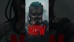 Now Playing In Cinemas