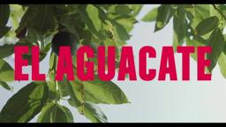 El Aguacate | Official Trailer (2018) | Film Threat Trailers