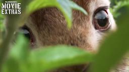 Peter Rabbit "From Book to the Big Screen" Featurette (2018)