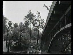 Million Dollar Legs Trailer