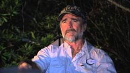 Bikini Swamp Girl Massacre