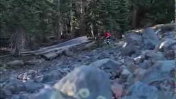 JUST RELEASED: The Human Experiment Trailer