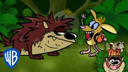 High Five! | Taz Quest For Burger | @wbkids