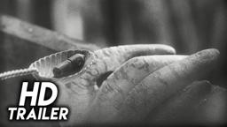 Institute Benjamenta (1995) Original Trailer [HD]