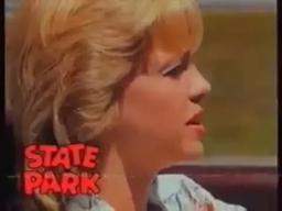 State park trailer (1988)