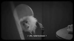 Netflix - David Lynch's What Did Jack Do  - Toototabon Love Song