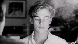 Leonardo Dicaprio Don's Plum