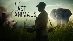 The Last Animals Official Trailer