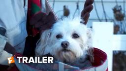 Charlie's Christmas Wish Trailer #1 (2020) | Fandango Family