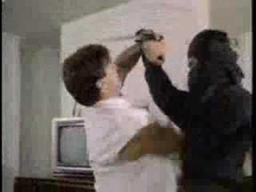 Sakura Killers Trailer