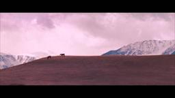 Film Trailer: Fishtail