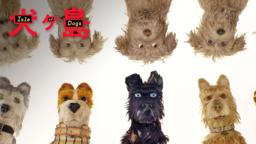 "I Love Dogs" TV Commercial