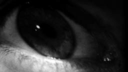 Three Reasons: Seconds