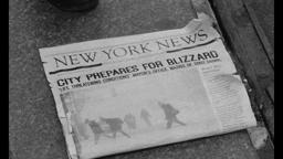 A WINDOW ON THE WORLD - Trailer