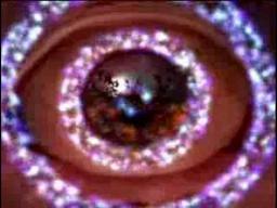 Within The Shadow Of The Tree : Movie Trailer