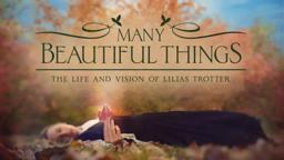 Many Beautiful Things (TRAILER)