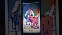 It’s about to get Wilder. Trailer in FOUR days.