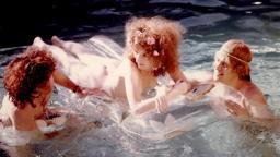 Lions Love (...And Lies) - Trailer - SFF 19