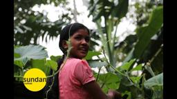 "After My Garden Grows" a short film by Megan Mylan