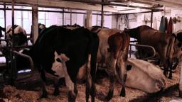 FrackNation - Trailer