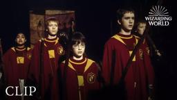 Harry Catches the Snitch