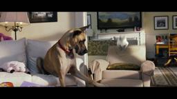 Marmaduke - In Theaters June 4! | Official Trailer (HD)  | 20th Century FOX