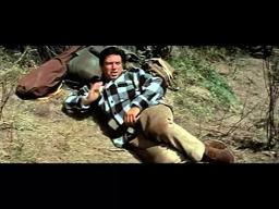 My Side of the Mountain - Trailer