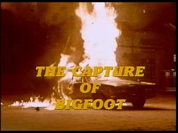 The Capture Of Bigfoot (1979) TV Spot