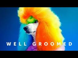 Well Groomed (2019) | Trailer HD | SXSW | Creative Dog Grooming | Documentary Movie