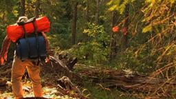 Willow Creek - Official Trailer