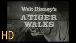 A Tiger Walks Walt Disney 1964 TV Spot 16mm HD Brian Keith Vera Miles Pamela Franklin Sabu Trailer
