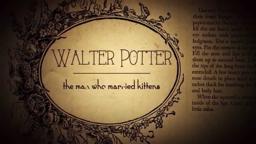 Walter Potter: The Man Who Married Kittens - TRAILER