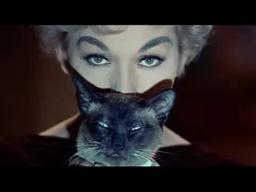 Bell, Book and Candle (1959) - Classic Clip - I'm Allergic To Your Cat - James Stewart - Kim Novak