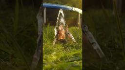 Danger is always around the corner.