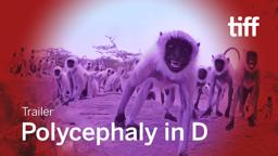POLYCEPHALY IN D Trailer | TIFF 2021