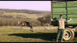 Trailer | Pulse | Robin Petré