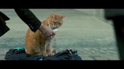 A Street Cat Named Bob - Meeting Bob Featurette - At Cinemas November 4
