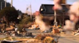 Birders: The Central Park Effect & The Tsunami and the Cherry Blossom - Trailer (HBO Docs)