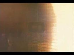 Not The Psychologist