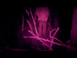 True Stories: Dogging Tales, Channel 4 (UK) Trailer, (40")