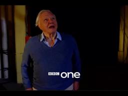Attenborough and the Giant Dinosaur: Trailer - BBC One