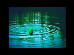 Fish Piss (unofficial trailer)