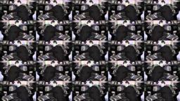 National Theatre Live - The Kitchen trailer