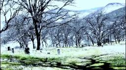 Return to Witch Graveyard Teaser # 2