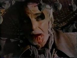 Roller Blade Warriors