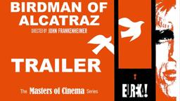 Masters of Cinema Trailer