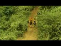 Buddha's Lost Children