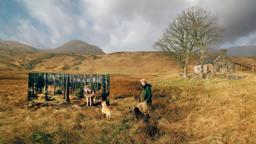 The Serengeti Rules (Trailer @ CPH:DOX 2019)